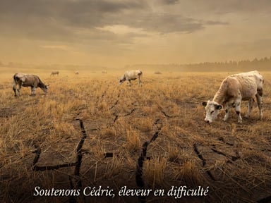 Cédric, éleveur en difficulté : soutenons-le !