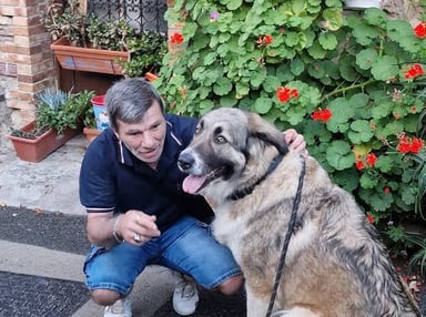 Aide urgente pour sauver CORA