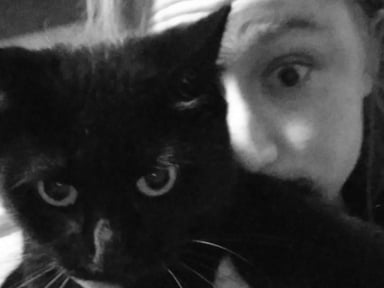 🚨Soins véto tumeur mammaire Fury🐈‍⬛💔🙏🏼