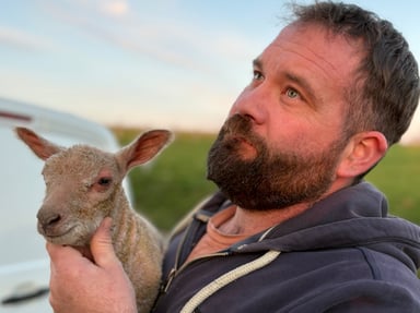 HELP! Tondeuse Moutons pour Guillaume