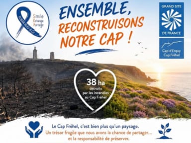Ensemble pour le Cap Fréhel : aidons la lande à renaître après l’incendie.