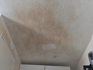 Emménagement urgent, logement insalubre.