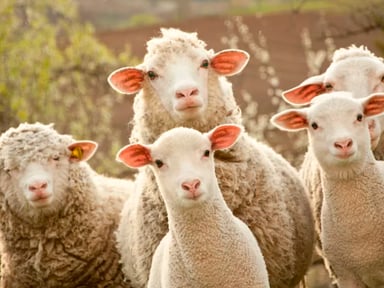 Solidarité pour notre ami agriculteur