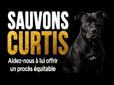 SAUVONS CURTIS - UN PROCES EQUITABLE