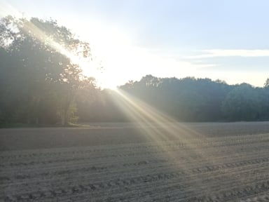 LE MOULIN DE L'ABBAYE A BESOIN DE VOTRE SOUTIEN