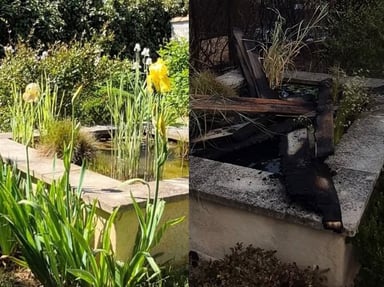 Reconstruire le jardin d’Annie et Stéphane
