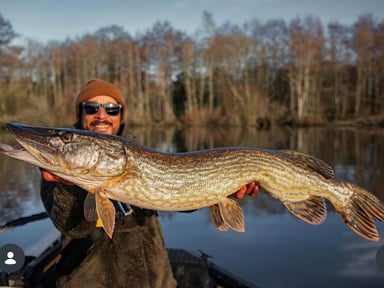 Pour les poissons de chez Paulo