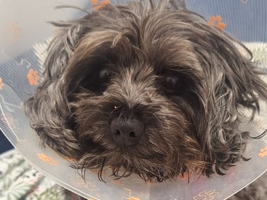 Si vous avez du 🧡