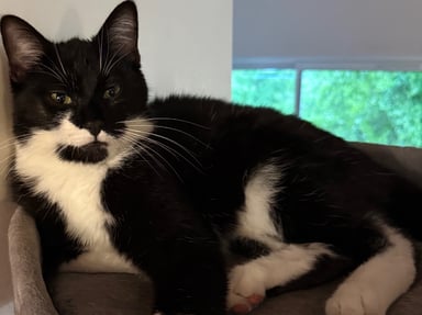 Aidons Twix à retrouver sa vie d’avant ❤️