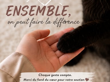 Difficulté financier