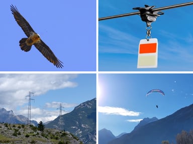 Installation de balise avifaune sur les lignes électrique Bourg d'Oisans / Huez