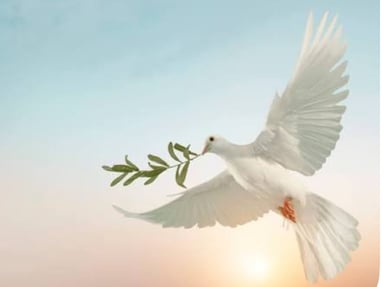 Soutien à Christelle pour la perte soudaine de son compagnon Cédric