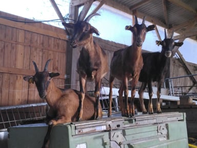Pour sauver la ferme de nos parents