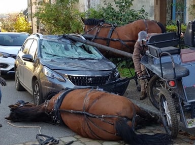 Un espoir pour Tobby après son accident