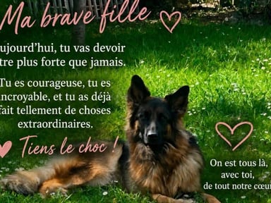 Ushka, 2 ans, se bat pour sa vie après son opération 🐾