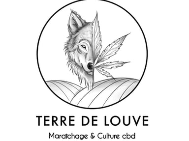 Nouvelle bâche