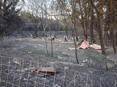 Incendie terrain guiz Ille sur têt