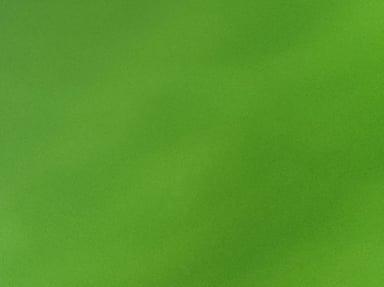 Besoin d'aide pour payer mon avocate pour le procès contre le magasin Action
