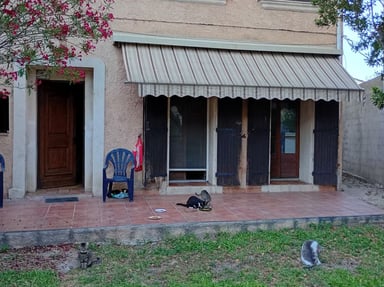 ‼️AIDONS FRANÇOISE À GARDER SA MAISON POUR SES CHATS🙏