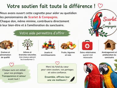 🦜🪶Un coup de pouce pour notre refuge perroquet 🦜❤️