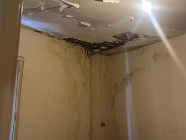 Ensemble pour mettre la maison de ma Grand Mère habitable