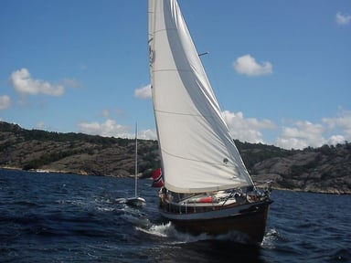 #Help us Save Fiorika