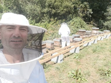 Sauvons les abeilles de St Mathurin