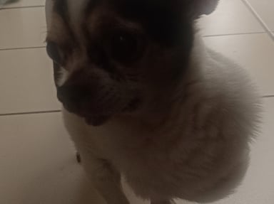 Urgent !Aidez nous svp pour Hadès