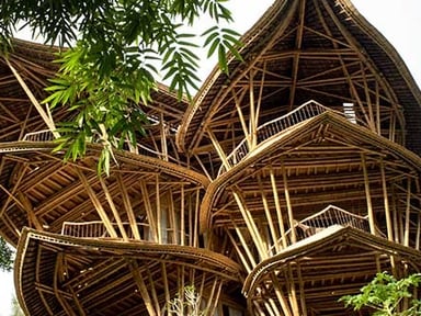 "Un coup de pouce pour son stage à Bali"