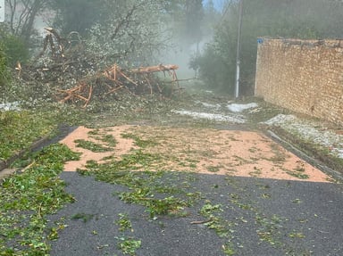Aidez Hugo et Chloé - Ferme de Rousset