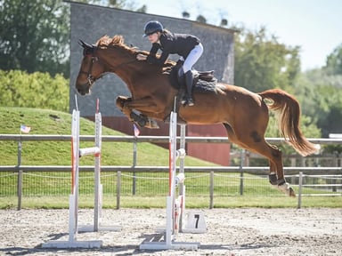 💙 Pour Élise et G-star 💙