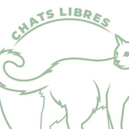 AVATAR_ALT_TEXT