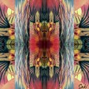 AVATAR_ALT_TEXT
