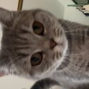 AVATAR_ALT_TEXT