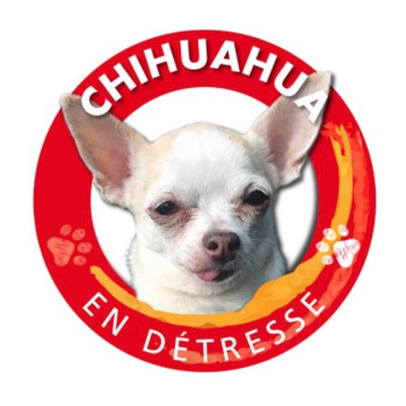 AVATAR_ALT_TEXT