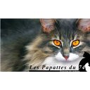 AVATAR_ALT_TEXT