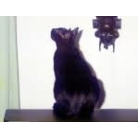 AVATAR_ALT_TEXT