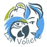 AVATAR_ALT_TEXT
