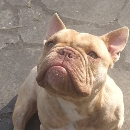 AVATAR_ALT_TEXT