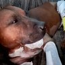 AVATAR_ALT_TEXT
