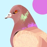 AVATAR_ALT_TEXT