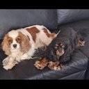 AVATAR_ALT_TEXT