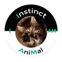 AVATAR_ALT_TEXT