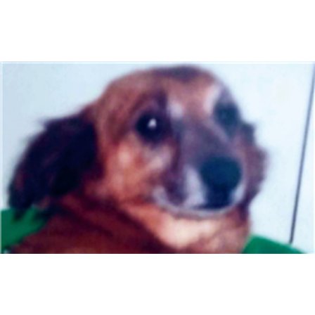 AVATAR_ALT_TEXT