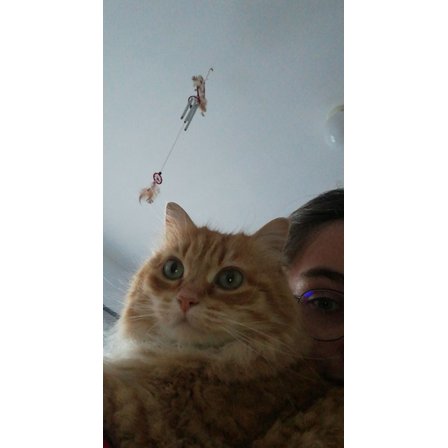AVATAR_ALT_TEXT