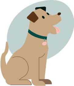 Un chien assis