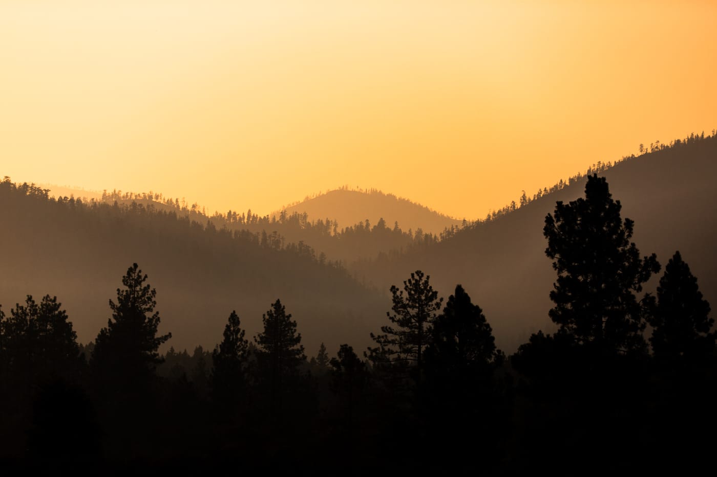 Smoke-hazed pine ridgelines stacked into an orange dusk