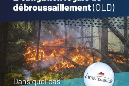 OLD : Obligation Légale de Débroussaillement – Un Guide Complet