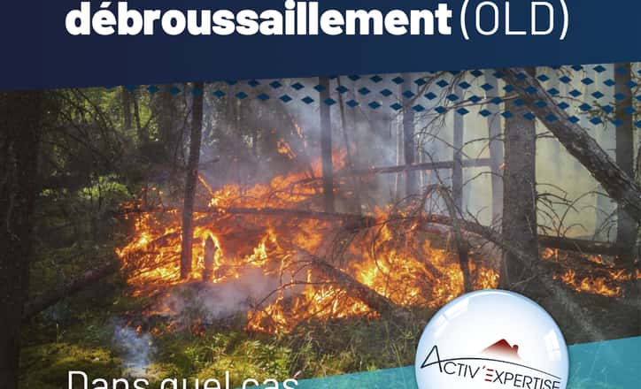 OLD : Obligation Légale de Débroussaillement – Un Guide Complet
