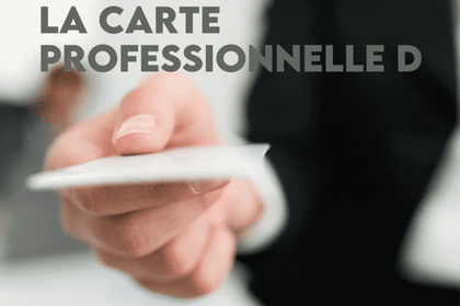 Une carte professionnelle pour les diagnostiqueurs : rêve ou réalité ?